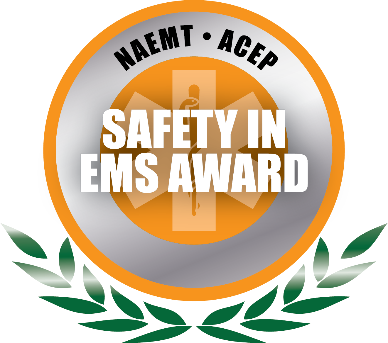 Safety in EMS Award Logo
