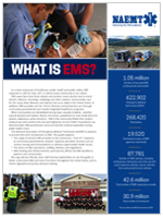 What is EMS?