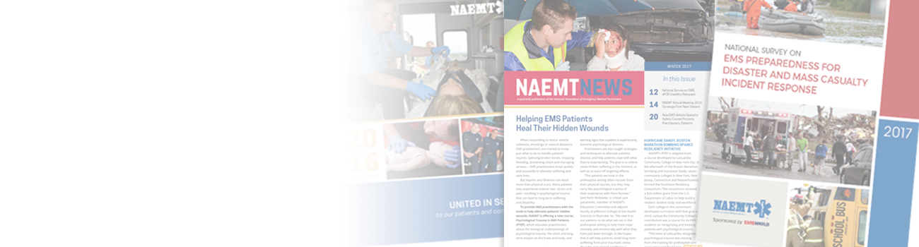 IntBanner_Publications